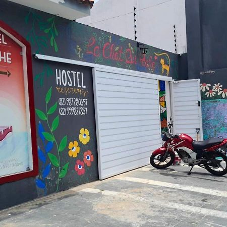 "Le Chat Qui Peche" Hostel A 150 Metros Da Praia De Pajucara Maceio  Luaran gambar